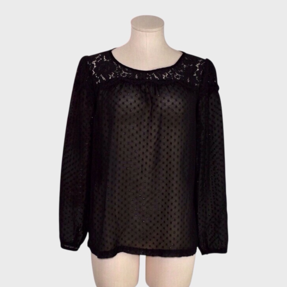 Elle Sheer Swiss Dot Blouse with Lace Yoke